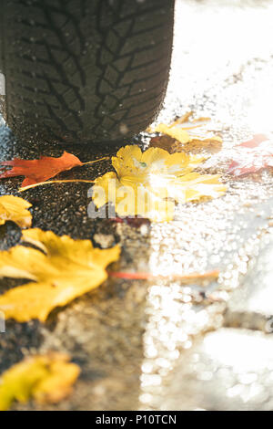 winter tire on a wet road with leaves, symbol Stock Photo