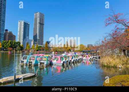 Ueno Park is most popular public relax green space lake with Ueno Park is most popular public relax green space lake with