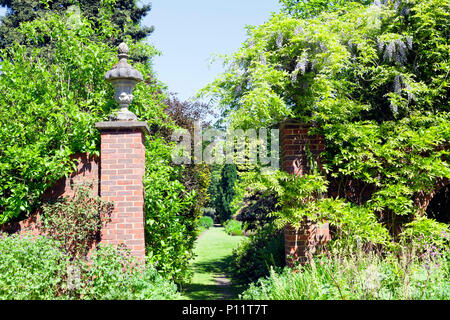 Path through gate in a walled garden, with cottage flowers, shrubs, conifer and leafy mature trees, on a sunny summer day in English countryside . Stock Photo