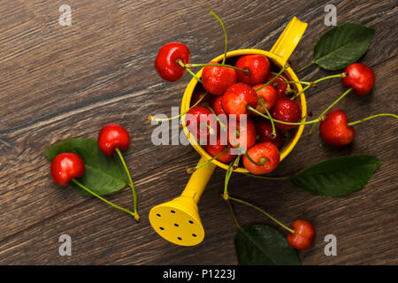 Cherry berries and cherry leaves on yellow garden watering container. Top view. Stock Photo