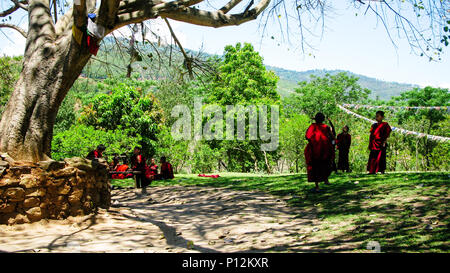 Monks under the tree near the Chimi Lhakhang monastery, - 25 May 2011 Lobesa, Bhutan Stock Photo