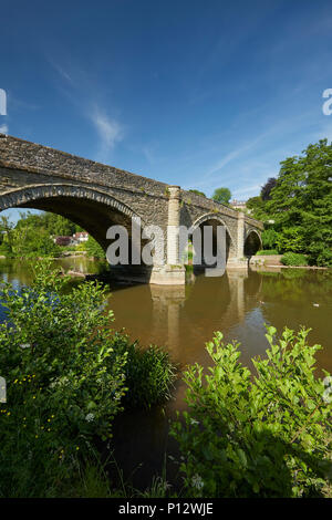 Dinham Bridge over the river Teme Ludlow Shropshire West Midlands England UK Stock Photo