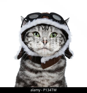 Head shot of handsome black tabby British Shorthair cat with green eyes wearing pilot hat and glasses looking at lens isolated on white background Stock Photo