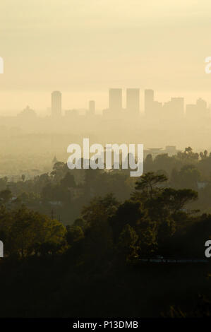Vertical cityscape of the city of Los Angeles, viewed from the Hollywood Hills.  The landscape is covered with a blanket of haze, and a pale yellow sky.  Silhouettes of trees are in the foreground.  Copy space. Stock Photo