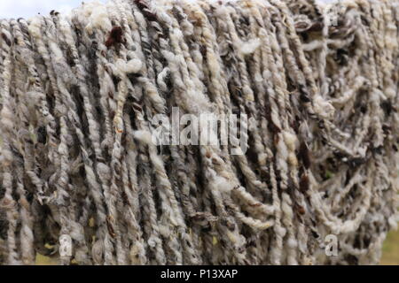 Sheep Wool fresh spinned Stock Photo