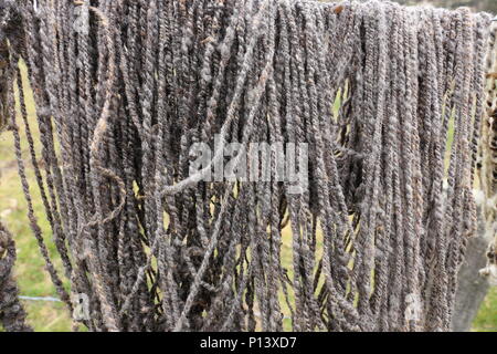 Sheep Wool fresh spinned Stock Photo