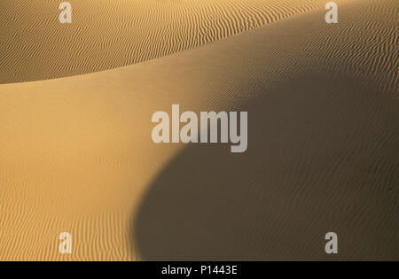 Sand dunes under late light, horizontal view depicting gentle curves and shadow, Death Valley, CA, USA Stock Photo