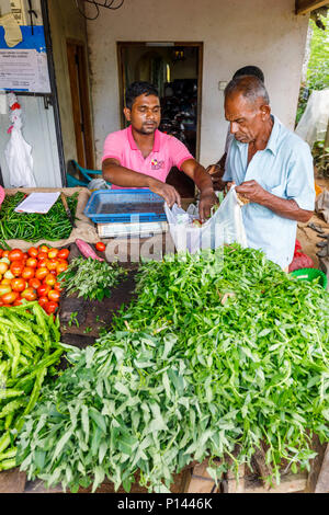 Stallholder in a rural roadside vegetable and grocery stall selling fresh produce to a local man, Horagampita district, near Galle, Sri Lanka Stock Photo