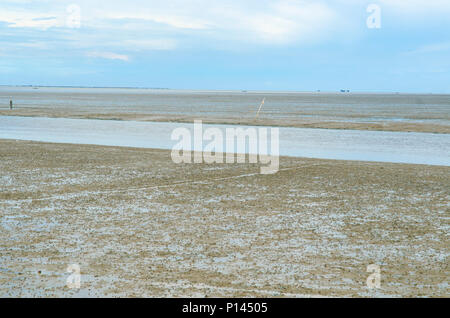 The vast muddy beach in Thailand. Stock Photo