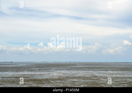 The vast muddy beach in Thailand. Stock Photo