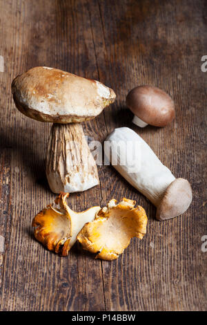 different edible mushrooms on wood Stock Photo