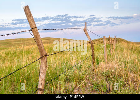 Barbed wire shop cattle fence