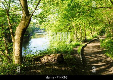 Riverside Pathway Along the Banks of the River Wear at Coxgreen Stock Photo