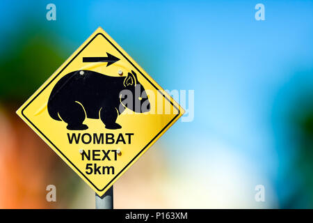 Traffic sign at the road side warns the drivers about wombat crossing next 5 kilometers Stock Photo
