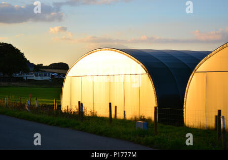 Temporary aircraft hangers reflecting sunlight at Sandown Airport on the Isle of Wight. Stock Photo