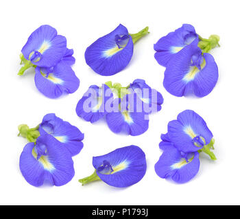 Clitoria ternatea or Aparajita flower isolated on white background Stock Photo