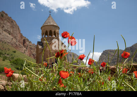 13th century Noravank monastery in the Amaghu rivery valley on a sunny summer day behind red poppies. Norvank, Armenia. Stock Photo