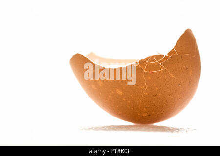 Broken egg shell with on white background, isolated, with bursts and cracks Stock Photo
