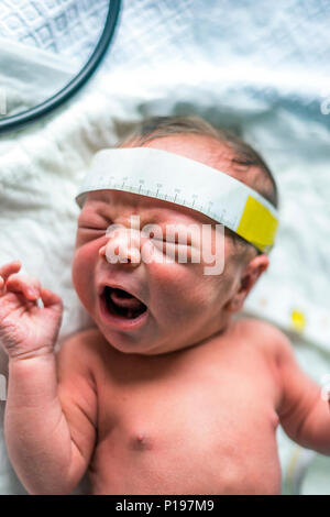 Measuring the head circuit of a newborn baby boy in the hospital Stock Photo