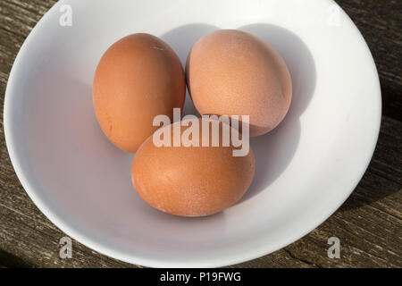 Three brown fresh free range hen eggs in white porcelain bowl Stock Photo