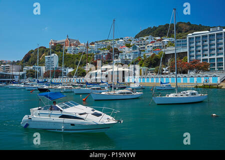 Boats, Clyde Quay Marina, and historic villas, Oriental Bay, Wellington, North Island, New Zealand Stock Photo