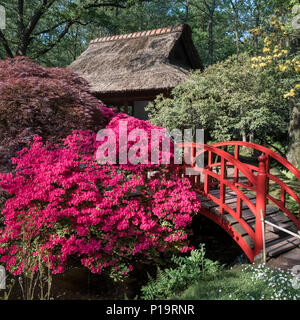 The Japanese garden (Japanse Tuin) in spring (May), Clingendael Park, The Hague (Den Haag), Netherlands. Stock Photo