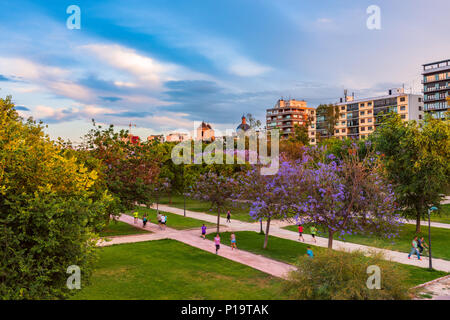 Flowering trees in the park of Turia in the pre-hours. Valencia, Spain Stock Photo