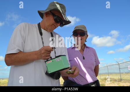 At the Trinity Site open house on October 1, 2016, a visitor tests a uranium sample with a radiation detection device. The event at White Sands Missile Range educates attendees about radioactive materials, nuclear physics, the Manhattan Project, and the first atomic detonation in 1945. Visitors from New Zealand and other countries participated, learning about radiation safety, trinitite formation, atomic bomb history, scientific principles, and nuclear technology. The open house provides public understanding of nuclear science and historical context. Stock Photo