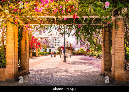 A pretty square in Ayamonte, Andalucia, Spain, with a pergola covered in bougainvillea and jacaranda trees along the side. Stock Photo