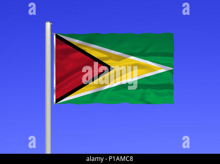 Flag of Guyana, Flagge von Guyana Stock Photo