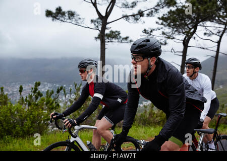 Male cyclists cycling Stock Photo