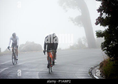 Dedicated male cyclists cycling on rainy road Stock Photo