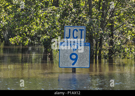 The Flooded town of Nichols S.C., heavy rains caused by Hurricane Matthew flooded the town which caused the evacuation of all its residents, Oct. 10, 2016. Governor Nikki Haley declared a State of Emergency Oct. 4, 2016 and the National Guard was called up to support state and county emergency management agencies and local first responders with coastal evacuations.  (U.S. Air National Guard photo by Tech. Sgt. Jorge Intriago) Stock Photo