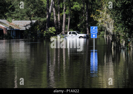 The Flooded town of Nichols S.C., heavy rains caused by Hurricane Matthew flooded the town which caused the evacuation of all its residents, Oct. 10, 2016. Governor Nikki Haley declared a State of Emergency Oct. 4, 2016 and the National Guard was called up to support state and county emergency management agencies and local first responders with coastal evacuations.  (U.S. Air National Guard photo by Tech. Sgt. Jorge Intriago) Stock Photo