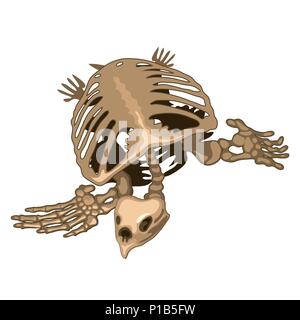 The skeleton of a prehistoric turtle isolated on white background. Vector illustration. Stock Vector