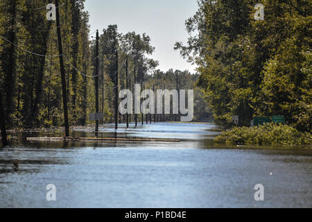 The Flooded town of Nichols S.C., heavy rains caused by Hurricane Matthew flooded the town which caused the evacuation of all its residents, Oct. 10, 2016. Governor Nikki Haley declared a State of Emergency Oct. 4, 2016 and the National Guard was called up to support state and county emergency management agencies and local first responders with coastal evacuations.  (U.S. Air National Guard photo by Tech. Sgt. Jorge Intriago) Stock Photo