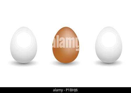 Egg set Stock Vector