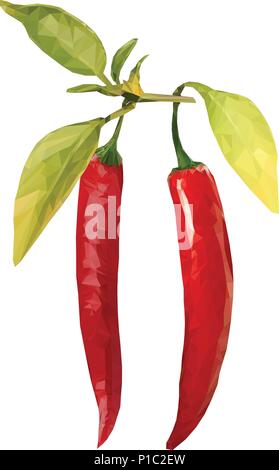 Red hot chili pepper pod realistic image vector illustration Stock Vector