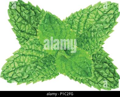 Polygonal realistic vector fresh mint leaves on a white background Stock Vector