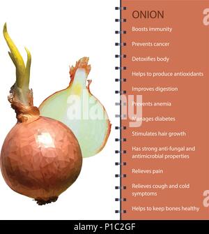 Fresh onion polygonal realistic vector illustration Stock Vector