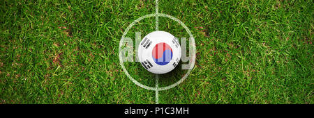 Composite image of football in south korea colours Stock Photo