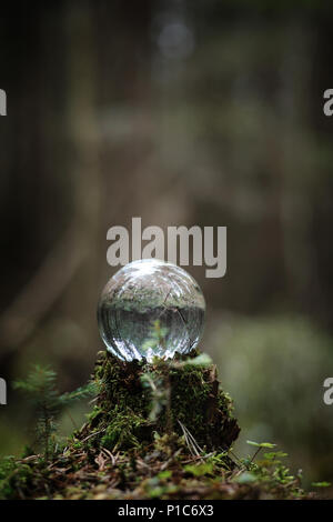 Crystal ball. Magical accessory in the woods on the stump. Ritual ball of witches and sorcerers on an old rotten stump covered with moss. Stock Photo