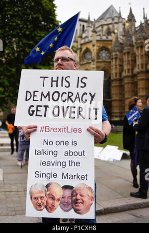 London, UK.  12 June 2018. An anti-Brexit protester demonstrates outside the Houses of Parliament as MPs begin two days of debate and vote on amendments to the EU Withdrawal Bill.   Credit: Stephen Chung / Alamy Live News Stock Photo