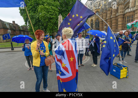 London, UK. 12th June 2018. Protesters continue their protests outside Parliament calling for an end to the process of leaving Europe with a 'Pies Not Lies' Remainathon during the parliamentary debate on the European Union (Withdrawal) Bill. The Stand of Defiance European Movement, SODEM, started by Steven Bray in September 2017 have continued to protest every day that MPs are in session. it that t Credit: Peter Marshall/Alamy Live News Stock Photo