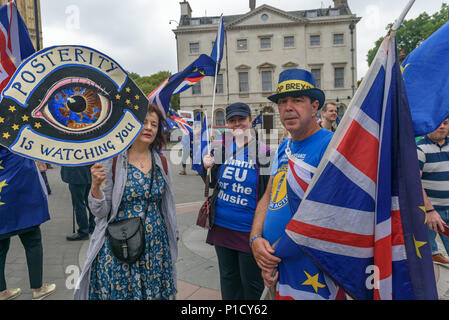 London, UK. 12th June 2018. Protesters continue their protests outside Parliament calling for an end to the process of leaving Europe with a 'Pies Not Lies' Remainathon during the parliamentary debate on the European Union (Withdrawal) Bill. The Stand of Defiance European Movement, SODEM, started by Steven Bray (right)  in September 2017 have continued to protest every day that MPs are in session. Credit: Peter Marshall/Alamy Live News Stock Photo