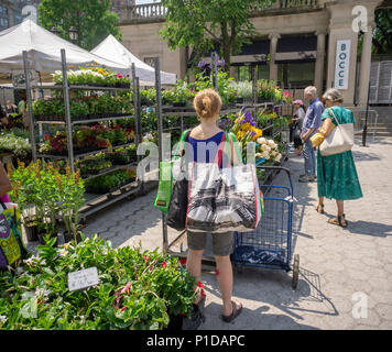 Shoppers buy spring flowers at the Union Square Greenmarket in New York o Saturday, May 16, 2018.  (© Richard B. Levine) Stock Photo