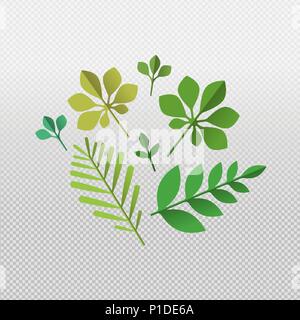 Tropical green leaf set on transparent background. Isolated summer leaves of exotic palm tree and jungle plants. EPS10 vector. Stock Vector