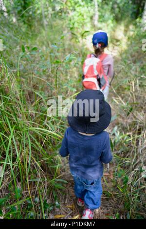 Children walk through the bush, Paluma Range National Park, Rollingstone QLD, Australia Stock Photo