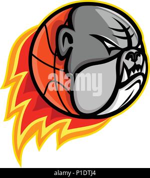 Sports mascot icon illustration of head of a bulldog on blazing or flaming basketball ball on fire viewed from side on isolated background in retro st Stock Vector