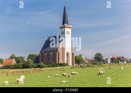 Sheep in front of the church of Den Hoorn on Texel island in the Netherlands Stock Photo